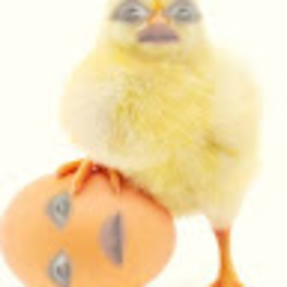 camipadi80